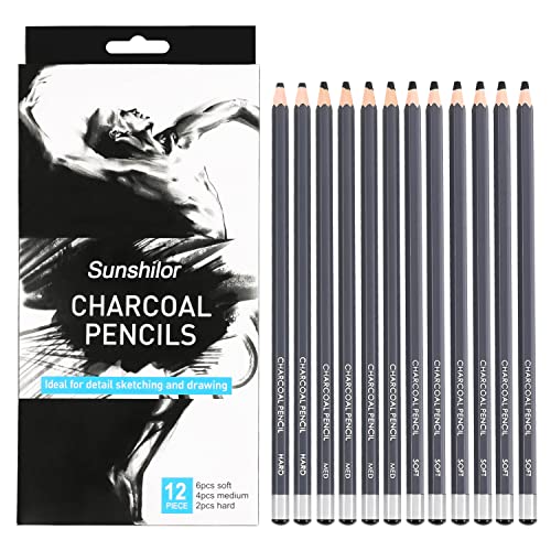 Sunshilor Professional Charcoal Pencils Drawing Set, 12 Pieces Soft Medium Hard Charcoal Pencils for Drawing, Sketching, Shading, Artist Pencils for Beginners & Artists