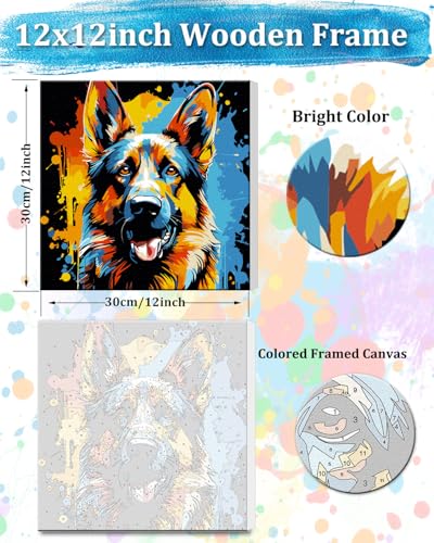 TOCARE Framed Paint by Numbers Kit for Adults Beginners,12x12inch Dog Paint by Number with Frame,German Shepherd Paint by Numbers Framed Canvas Animal (Without Easel) - color: TC-F-224