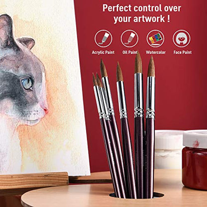 Golden Maple Professional Watercolor Brushes Set - 6PC Natural Hair Horsehair Round Point Artist Paint Brushes for Adults Watercolor Acrylic Ink Gouache Painting Supplies