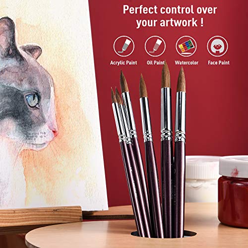 Golden Maple Professional Watercolor Brushes Set - 6PC Natural Hair Horsehair Round Point Artist Paint Brushes for Adults Watercolor Acrylic Ink Gouache Painting Supplies