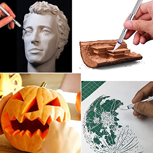 21 Pieces Precision Hobby Craft Knife Set,Razor Sharp Knives for Scrapbooking,Stencil,Art Modeling,Sculpture,Wood Leather,Halloween Pumpkin Carving,Fine Point,Scoring,Chiseling Blade., Black