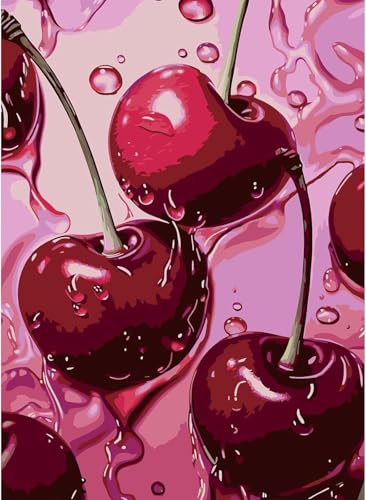 AIBOERL Diamond Art Kits for Adults,Square Drill Cherry Diamond Painting | Square Drill Cherry Diamond Painting for Beginners DIY Square Diamond Dot Painting Gem Art Kits,Home Wall Decor 12x16Inch - color: DP01164