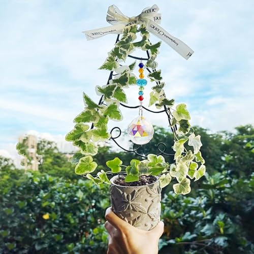 SNAIL GARDEN 9 Gauge/3mm Aluminum Craft Wire Kit with Crystal Suncatchers, Butterfly Plant Clips & Pliers，65.6 ft (20 m) Aluminum Wire for Crafts DIY Plant Trellis, Jewelry Making (Gold&Black)