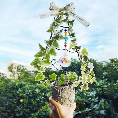 SNAIL GARDEN 9 Gauge/3mm Aluminum Craft Wire Kit with Crystal Suncatchers, Butterfly Plant Clips & Pliers，65.6 ft (20 m) Aluminum Wire for Crafts DIY Plant Trellis, Jewelry Making (Gold&Black)