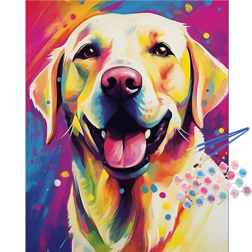 TOCARE Dog Paint by Numbers Kit for Adults Beginner,Labrador Retriever Paint by Number Canvas Kit, Acrylic Adults' Paint-by-Number Kits for Dogs Lovers 16x20inch (Without Framed) - color: TC-OPC-021