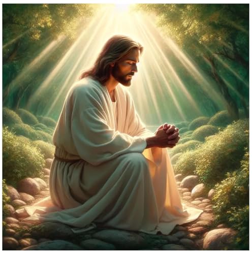CRZMODE Jesus Diamond Art Kits for Adults,Jesus Diamond Painting Kits for Adults Beginners,5D DIY Round Full Drill Gem Art Paint by Diamonds Dots Crafts Kits for Home Decor Gift 14x14inch - color: Jesus(14X14")