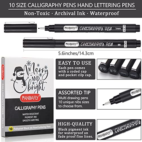 PANDAFLY Calligraphy Pens for Writing, 10 Size, Hand Lettering Pens | Brush Pens Calligraphy Set for Beginners, Calligraphy Brush Pens for Art Drawing, Sketching, Scrapbooking, Journaling