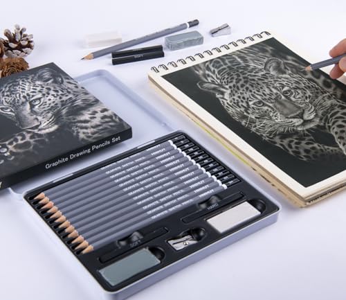 HNIHUY Sketch Drawing Pencils Set, 17 Pcs, Graphite Pencils (8B-4H) | Sketch Pencils for Drawing Art, Erasers and Sharpener, Art Drawing Pencil for Artists Beginner Sketching