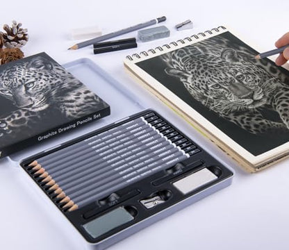 HNIHUY Sketch Drawing Pencils Set, 17 Pcs, Graphite Pencils (8B-4H) | Sketch Pencils for Drawing Art, Erasers and Sharpener, Art Drawing Pencil for Artists Beginner Sketching