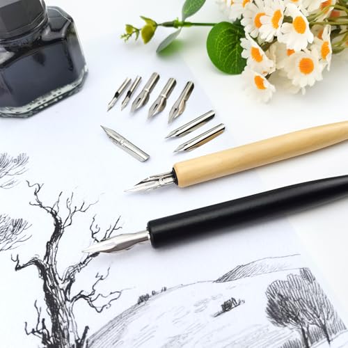 Quacc Comic Dip Pen Set, 2 Pen Holders and 10 Replacement Nibs, Wooden Calligraphy Holder with 5 Different Stainless Steel Nib for Writing, Painting, Signing
