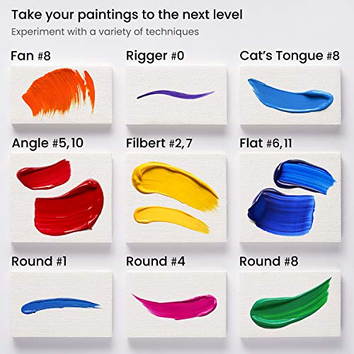 ARTEZA Paint Brushes Set of 12, Acrylic and Oil Paint Brushes with Synthetic Hair, Rust-Resistant Ferrules and Birch Wooden Handles for Canvas, Crafts, Blending, Layering, and Detail Work - style: Acrylic & Oil