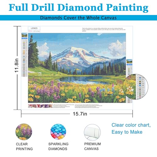 Diamond Art Kits for Adults,Mountain Diamond Painting Kits for Adults | Mount Rainier National Park 5d Diamond Painting Kit with Diamond Art Accessories for Home Wall Decor 12 x 16inch - color: Mount Rainier National Park