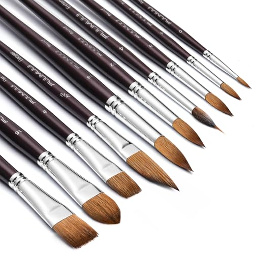 Fuumuui Sable Watercolor Brushes, Professional 10Pcs Sable Paint Brush Set Variety Shapes with Flats, Extended Needle Point, Dagger, Cat's Tongue, Rounds Perfect for Watercolor Acrylic Gouache Inks - color: Brown