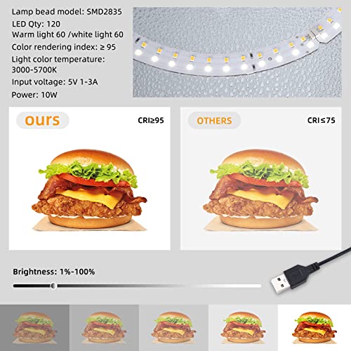 Lightdow 12"x12"x12" Photo Studio Light Box Photography with Desktop Tripod & 120 LEDs (CRI>95), 6 Backdrops - Portable/Dimmable Folding Shooting Tents for Toys/Jewelry/Watches/Cosmetics - size: 12"x12"x12"