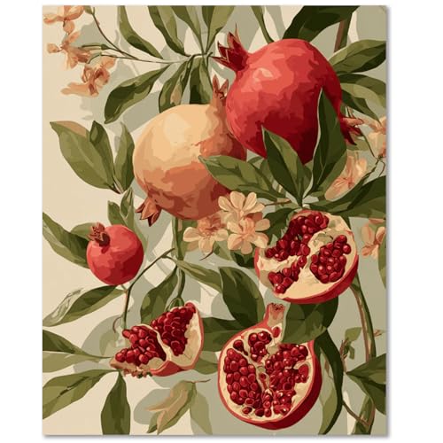 Fruit Paint by Numbers Kit for Adults, Paint by Number for Adults 16x20inch | Painting by Numbers for Adults, Acrylic Oil Painting, DIY Crafts for Adults, Ideal Gifts for Home Wall Decor, Frameless - color: Pomegranate
