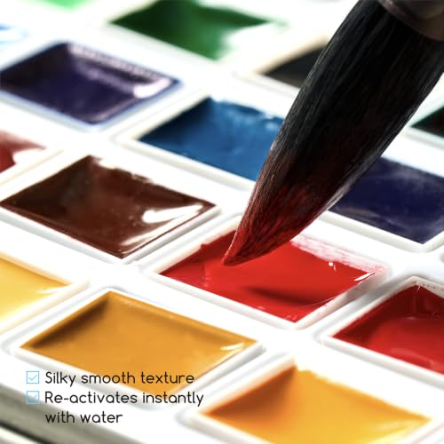 MEEDEN Professional Watercolor Paint Set: 40 Colors Semi-Moist Sets - color: 40 Colors