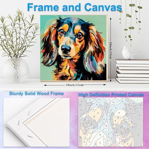 Artunion Framed Paint by Numbers Kit for Adults Beginners & Kids Ages 8-12,Colorful Dachshund Dog Paint by Number with Frame,Dog Animal Paint by Numbers Kit on Canvas 10 * 10 Inch Without Easel - color: ZXT-264-F