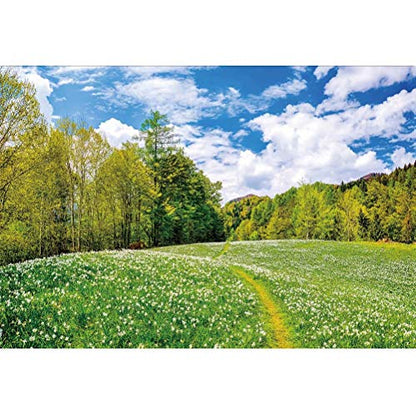 Countryside Farm Field Backdrop for Photography 10x8ft Spring Summer Scenery Green Meadow Sky Clouds Photo Background Party Outdoor Decoration Travel Picnic Cloth Portrait Photo Studio Props Vinyl - size: 10x8ft
