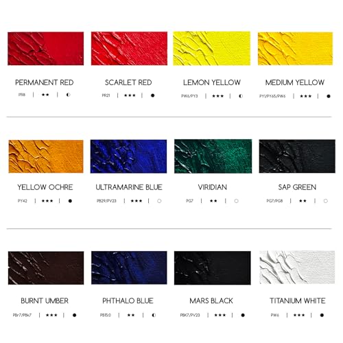 MEEDEN Artist Oil Paint Set - 12 Colors x 60ml/2oz Tubes | Art Supplies for Canvas Painting - color: 12 Colors, size: 2 Fl Oz (Pack of 12)