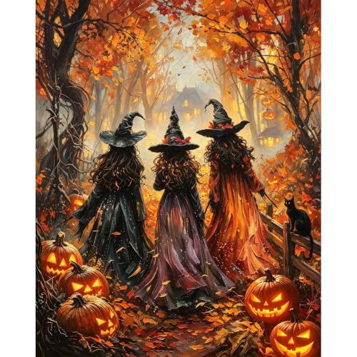bleihum Halloween Paint by Numbers Kit for Adults Witch 16x20inch - color: MT23133-US