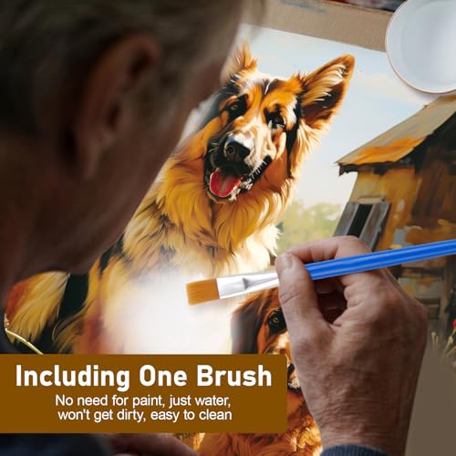 24Pcs Dementia Products for Elderly Reusable Water Painting Set for Seniors - color: Pet
