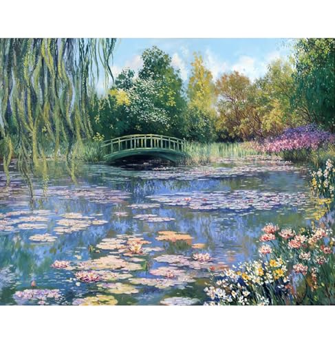 Monet Cute Diamond Art Kits for Adults Diamond Painting Kit for Beginner - color: DP03276, size: Round Drill