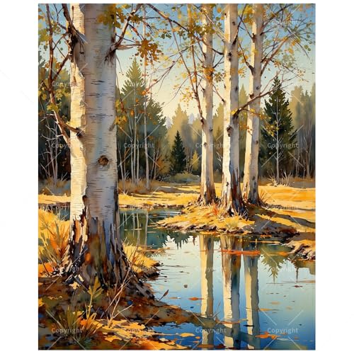 TAOPAOLAB Nature Scene Paint by Numbers Kit for Adults - DIY Autumn Birch Trees by Pond Painting on Canvas 16x20In, Framed Acrylic Paint Set, Suitable for Beginners, Art for Home Decoration or Gifts - color: FM04808, size: 16×20in Framed