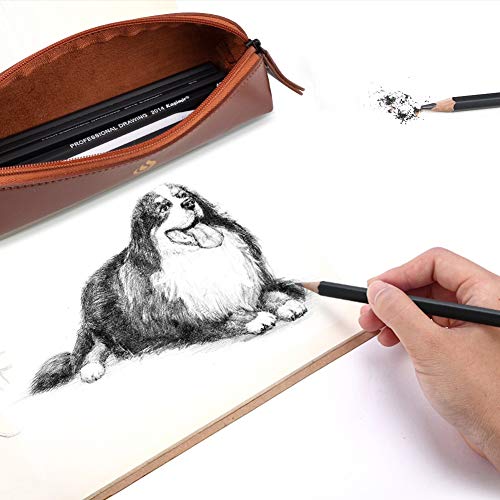 Heshengping, Sketching and Drawing Pencils Set-26pcs,Art Supplies Drawing Kit,Graphite Charcoal Professional Pencils Set, Adults Beginners Artist - style: Brown | 26 Pack