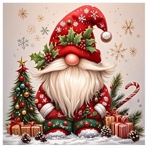 CRZMODE Christmas Paint by Numbers Kit for Adults, Gnome Paint by Numbers for Adults, Acrylic Painting Crafts for Home Decor Gift (16x16inch) - color: Christmas Gnome(16X16")