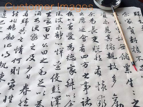 Weasel Hair Chinese Calligraphy Brush Premium Chinese Brush Sumi Brushes 99% Weasel Hair wolf hair for Font 3-5cm, 1pc QingJin - color: 0501. QingJin 1pc