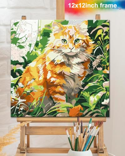 TOCARE Framed Paint by Numbers Kit for Adults Beginners,12x12inch Orange Cat Paint by Number with Frame,Easy Cat Paint by Numbers Framed Canvas (Without Easel) - color: TC-F-221