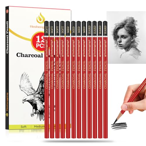 Heshengping Professional Charcoal Pencils Drawing Set -12 Pieces Soft, Medium Hard Charcoal Pencils for Drawing Sketching Shading Artist Pencils for Beginners Artists - style: 12 Pack Sketching Charcoal Pencils