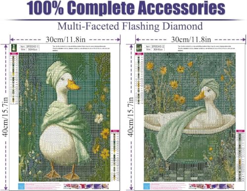 2 Pack Diamond Art Kits for Adults DIY Diamond Painting Kits for Adults - color: DP05343