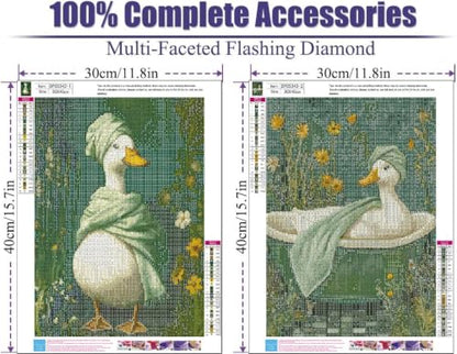 2 Pack Diamond Art Kits for Adults DIY Diamond Painting Kits for Adults - color: DP05343