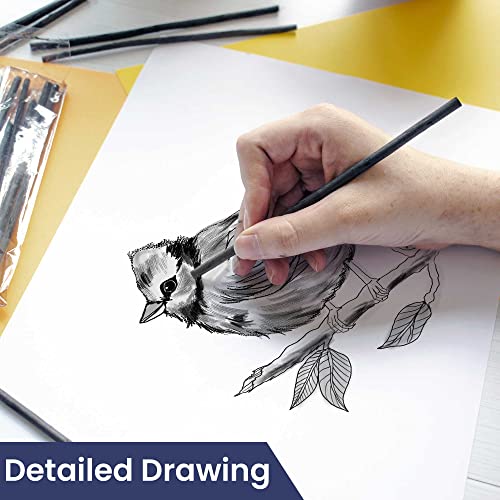 Pacific Arc 2 PACK Large Willow Charcoal Stick 4/Pkg, Soft, Black, Thick Willow Charcoal for Sketching and Drawing … - style: Willow Soft | 2 Pack | 4 Sticks