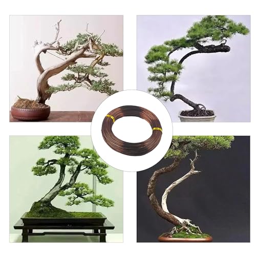 Bonsai Training Wire Kit 3 Sizes, 1.0mm/1.5mm/2.0mm Anodized Aluminum Bonsai Wire, Antique Bronze Aluminum Wire Set for Bonsai Trees Shaping and Training(100g Each Size) - size: 1.0mm/1.5mm/2.0mm