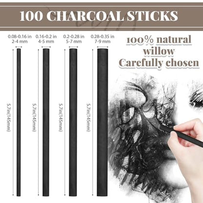 Gueevin 100 Pcs Soft Willow Charcoal Sticks Drawing,2-4mm,4-5mm,5-7mm,7-9mm | For Artists Beginners Students, Vine Charcoal Bulk for Sketching Shading Fine Art, Assorted Sizes, Back to School Gifts - size: 2-4mm,4-5mm,5-7mm,7-9mm