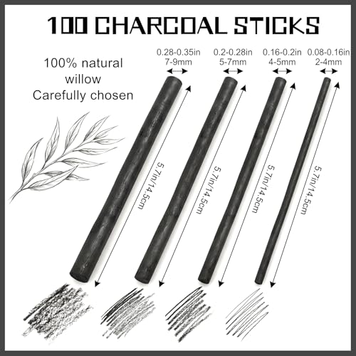 100 Pcs Willow Charcoal Sticks, Black Willow Charcoal for Artists Beginners Students, Drawing Charcoal for Sketching and Shading, Art Supplies(2-4mm, 4-5mm, 5-7mm,7-9mm)