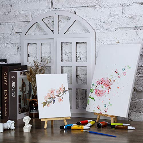 Hestya 12 Pcs Blank Canvas Painting 4 x 6/5 x 7/8 x 10/9 x 12 Inch | Pre-stretched Primed White Canvas, Acrylic Oil Paint Ready, Art Classroom Studio Supplies, Christmas Craft DIY Projects - size: 4 x 6 Inches/ 5 x 7 Inches/ 8 x 10 Inches/ 9 x 12