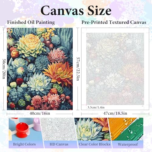 Paint by Numbers Kit for Adults, Succulent Number Painting Canvas Kit - color: Succulent-1