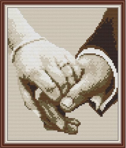 CROSSDECOR Cross Stitch Kit 11 CT Patterns Dimensions Counted Cross Stitch Kits for Adults Easy Cross Stitching Embroidery Needlework Kit for Decor - color: 11CT-9.6×11.1 inch