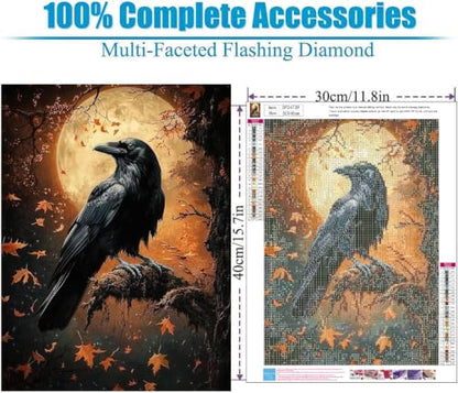 Gothic Raven Diamond Art Kits for Adult diamond painting kits for adults | DIY Diamond Painting Kits 5D Diamond Dots Gem Art Crafts with Tools,Round Full Drill 12x16inch - color: DP04739
