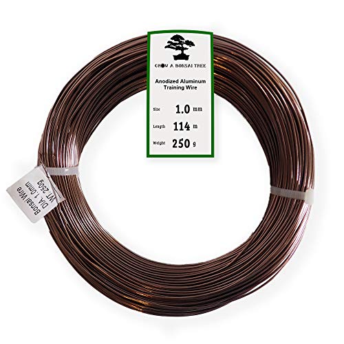 Anodized Aluminum 1.0mm Bonsai Training Wire 250g Large Roll (375 feet) - Choose Your Size and Color (1.0mm, Brown) - color: Brown, size: 1.0mm
