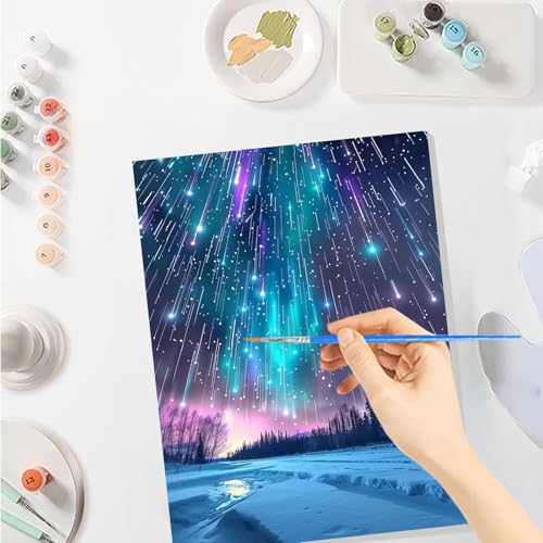 SENQAO Christmas Paint by Numbers for Adults Framed, Aurora Landscape Adults' Paint-by-Number Kits, Adult Paint by Number Kits on Canvas, Acrylic Number Painting for Home Decor, 8x12inch - color: Aurora