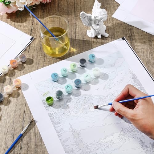 Humyoun 12 Pack 9 x 12 Inch Paint by Numbers Kit for Adults Beginners DIY Acrylic Oil Painting Paint by Number Kits Drawing Paintwork on Canvas Without Frame for Home Decor(Mountain Style) - style: Mountain Style