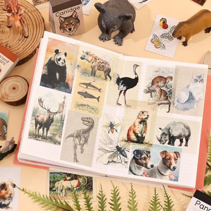 12 Sets 600 Sheets Washi Stickers Book for Journaling, Jungle Animal Sticker, Wild Zoo Sea Animal Aesthetic Scrapbook Dinosaur Sticker Set for Bullet Journal Card Craft Gift Rewards for Kid Notebook - style: Animal Style