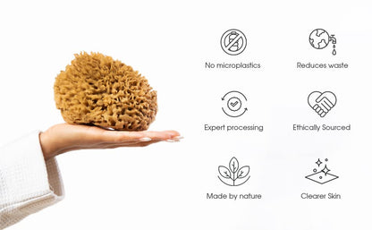 Naroa Soft Natural Sponge Large | Gentle Sea Loofah for Bathing Smooth Skin | Unbleached Shower Body Scrubber Puff | Bath & Spa (L)