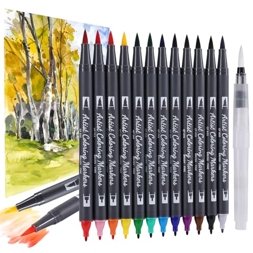 TOSHARE 12 Colors Blendable Watercolor Markers for Adults 2026 Professional Double Tip Paint Pens with 1 Water Brush Pen Water Based Coloring Pens Drawing Markers Set with Flexible Brush Tip - color: 12 Colors + 1 Water Brush Pen