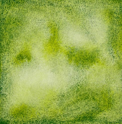 White Nights Limited Edition Granulation Metamorphoses Watercolor Collection of Professional Artist Grade Paints Vibrant Lightfast Colors by Nevskaya Palitra (Green Dream) - color: Green Dream