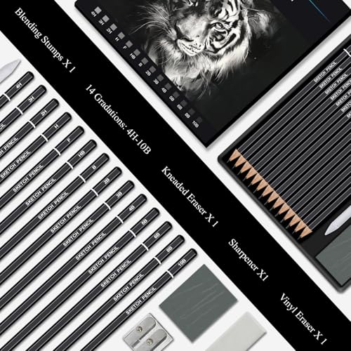 Aenir Sketch Pencils for Drawing, Drawing Pencils Set of 18, 10B–4H Graphite Pencil, Vinyl Eraser, Kneaded Eraser, Sharpener, Blending Stump,Sketch Set for Artists, Art Supplies. - size: 18 Pcs Graphite Pencils Set